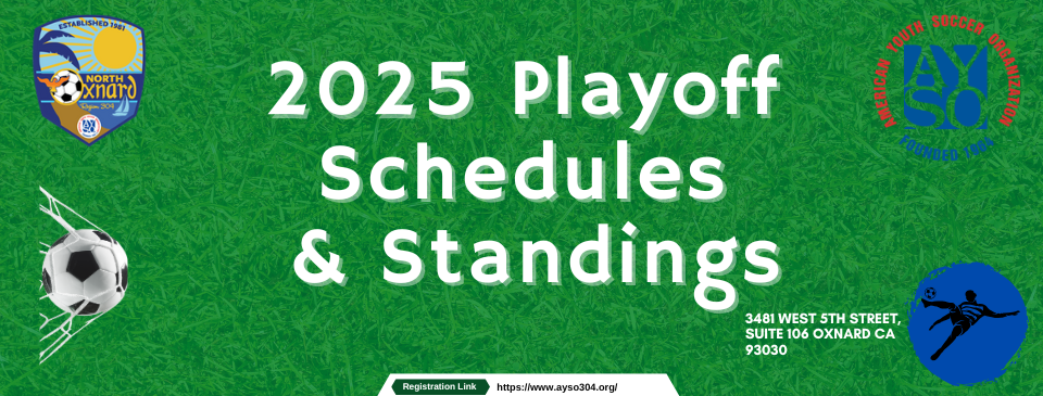 2025 Playoff Schedules & Standings