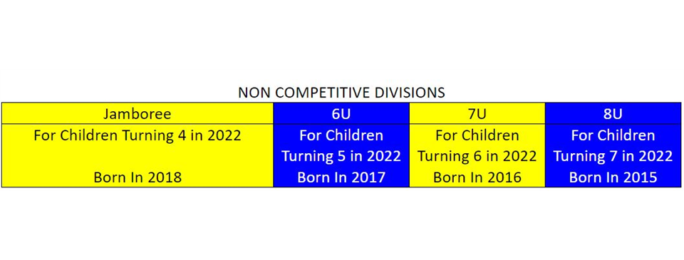 Age Chart - Non-Competitive Divisions 