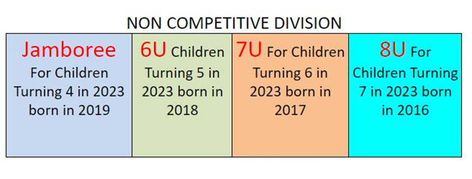 Age Chart - Non-Competitive Divisions 